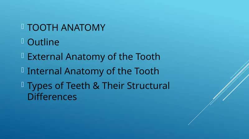 TOOTH ANATOMY 1