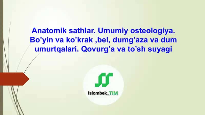 Anatomik sathlar.Umumiy osteologiya.Bo’yin va ko’krak ,bel, dumg’aza va dum umurtqalari.Qovurg’a va to’sh suyagi 1
