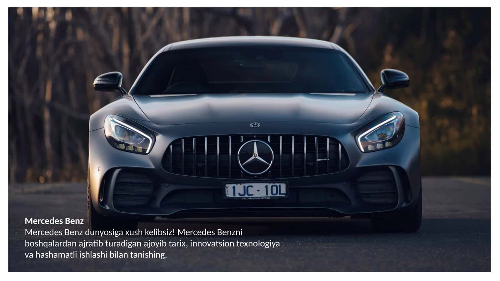 Mersedes Benz 1