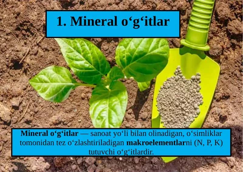 Mineral, mikro va bakterial o‘g‘itlar 1