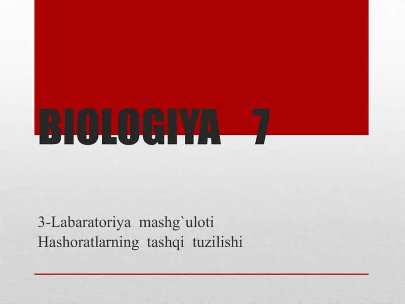 3-Labaratoriya mashg'uloti "Hashoratlarning tashqi tuzilishi" 1