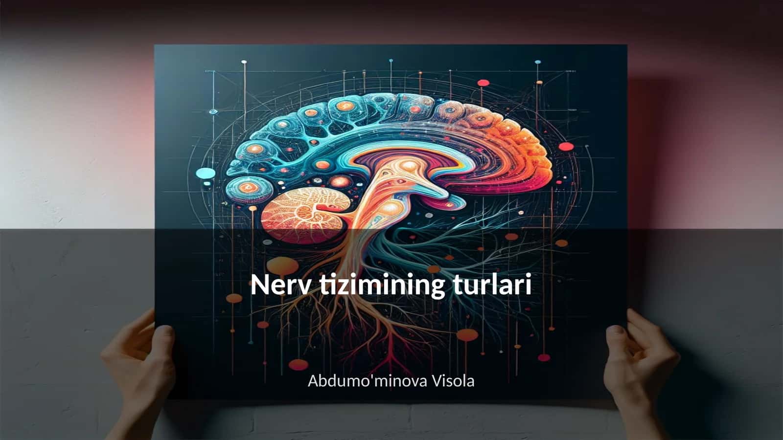 Nerv tizimining turlari 1