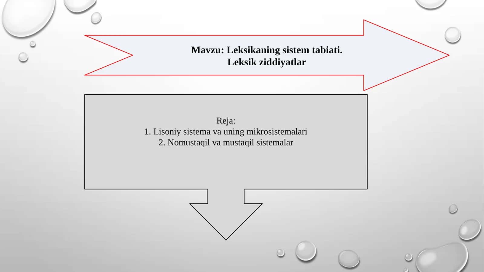 Leksikaning sistem tabiati. Leksik ziddiyatlar 1