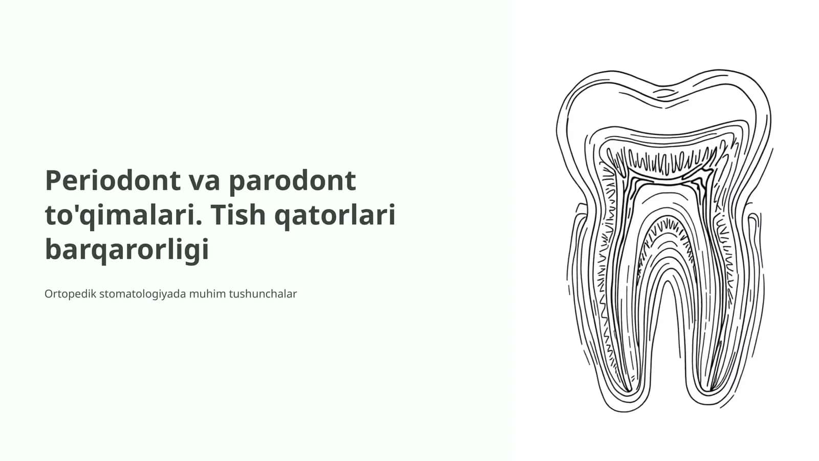 Periodont va parodont to'qimalari. Tish qatorlari barqarorligi 1