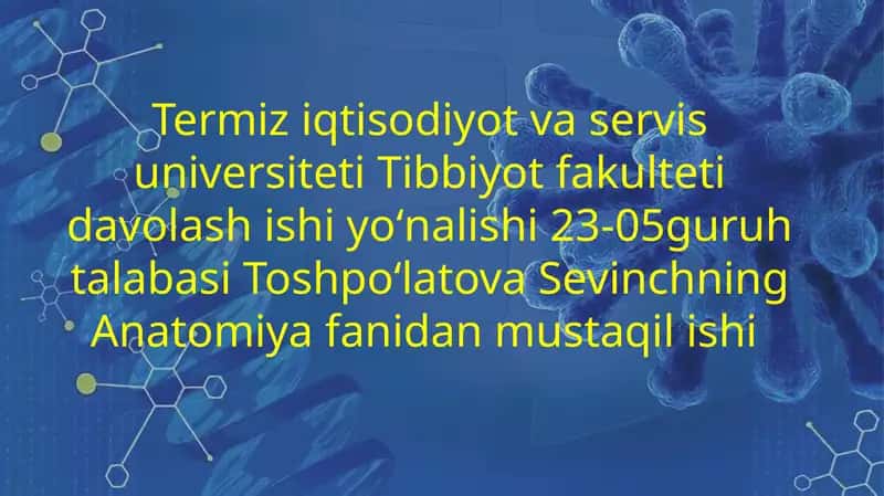 Gipotalamus oʻzaklari va ularning klinik ahamiyati 1