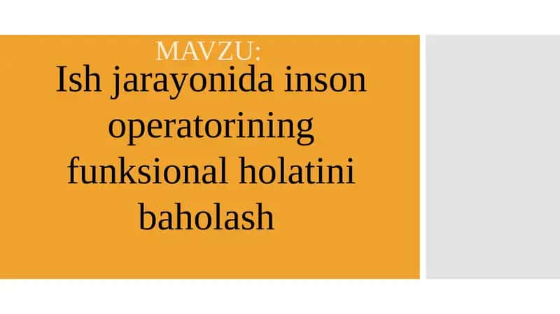 Ish jarayonida inson operatorining funksional holatini baholash 1