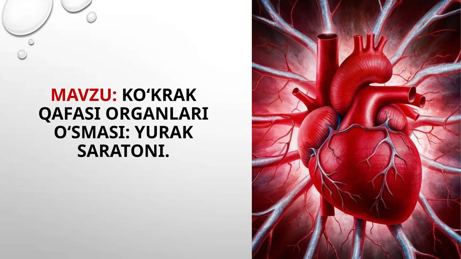 Ko‘krak qafasi organlari o‘smasi: yurak saratoni 1