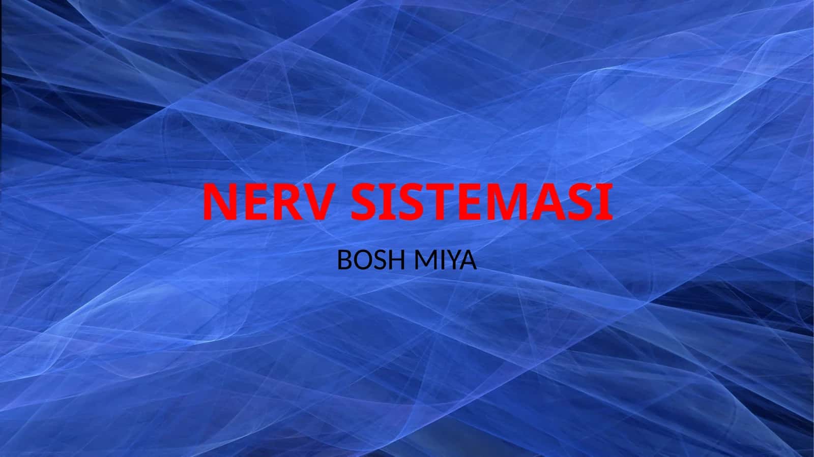 NERV SISTEMASI 1
