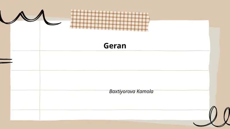 Geran 1