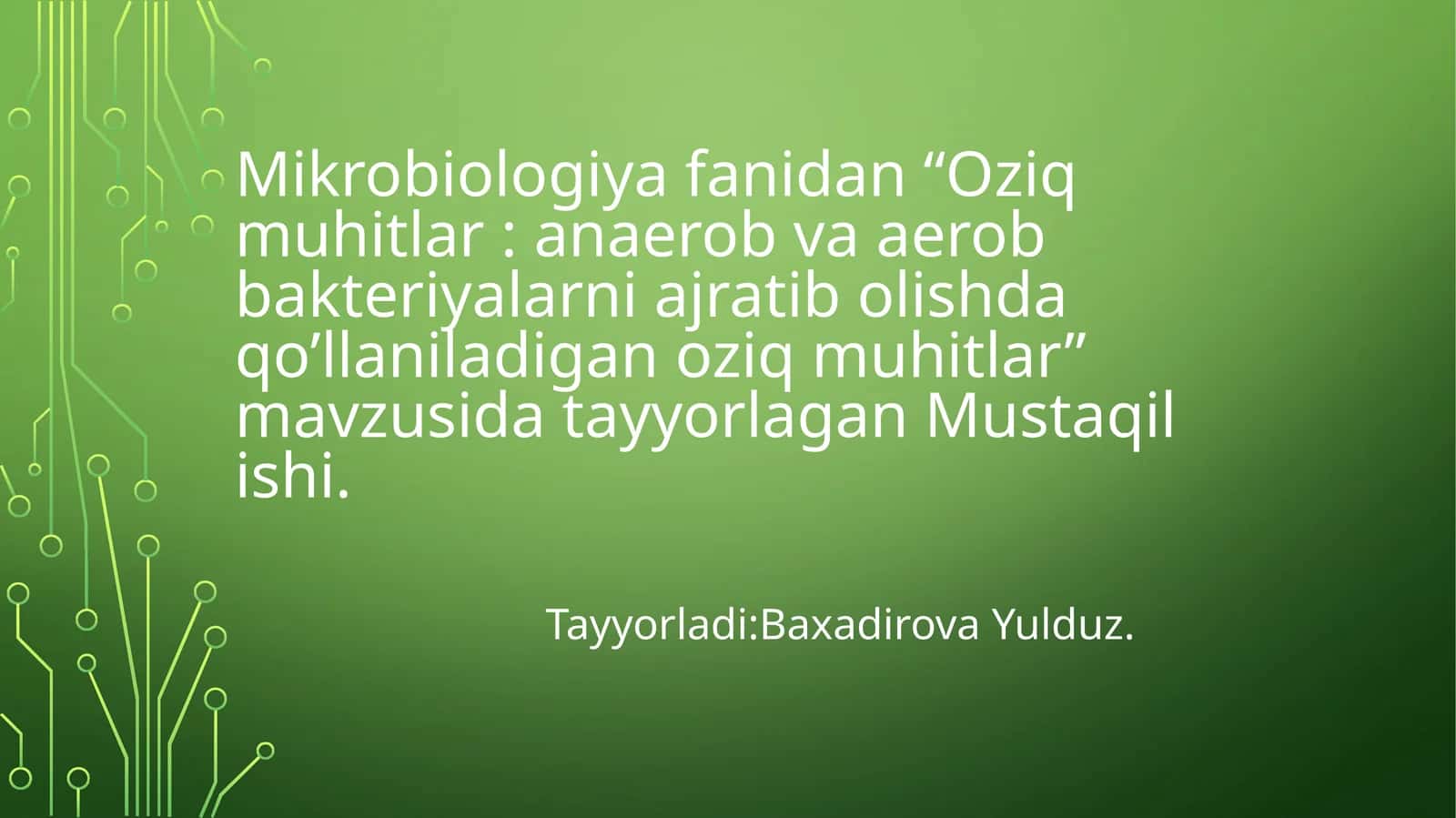 Oziqmuhitlar: anaerob va aerob bakteriyalarni ajratib olish 1