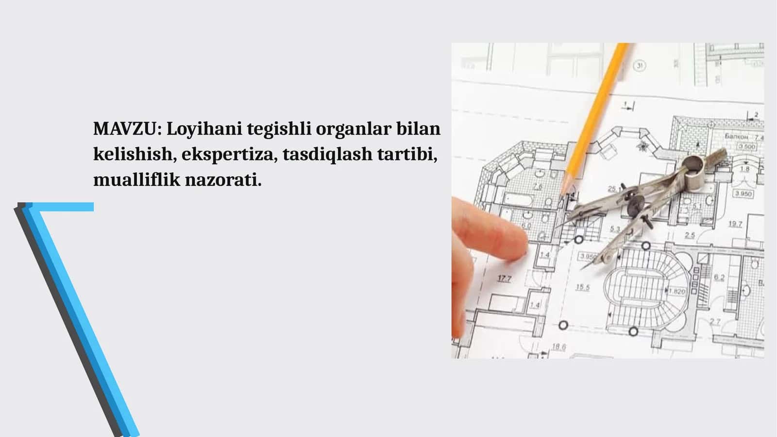 Loyiha ekspertizasi: turlari, tartibi, xulosasi 1
