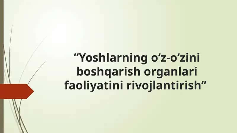 Yoshlarning o'z-o'zini boshqarish organlari faoliyatini rivojlantirish 1