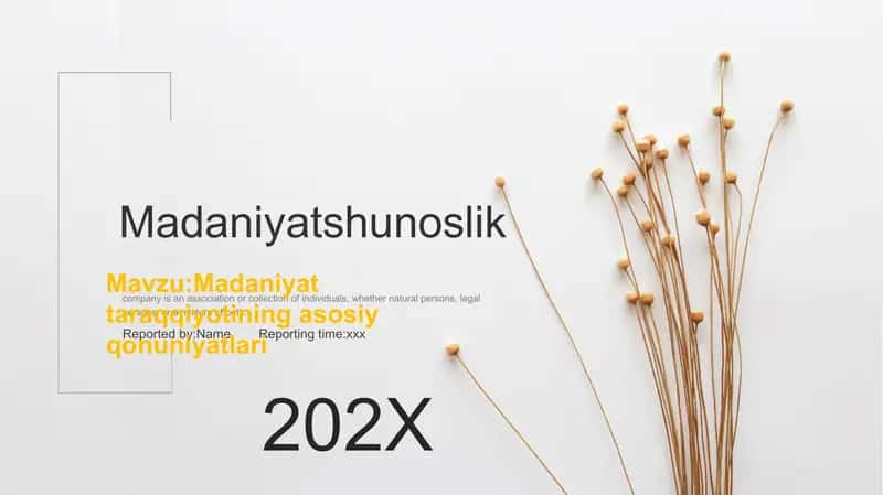 Madaniyatshunoslik 1