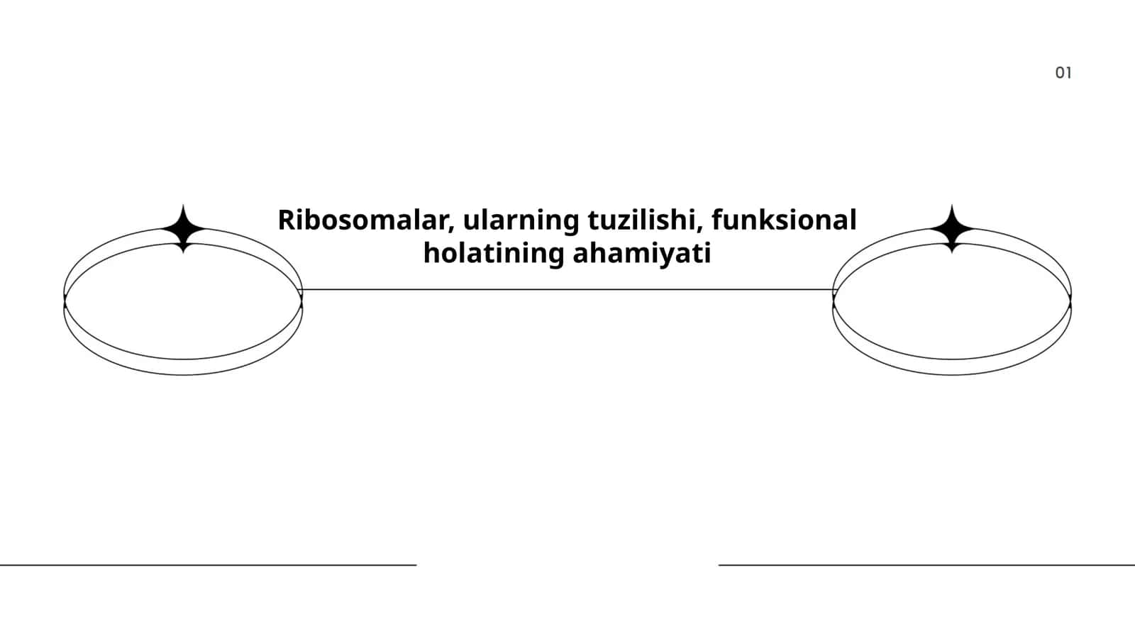 Ribosomalarning tuzilishi va funksiyalari 1