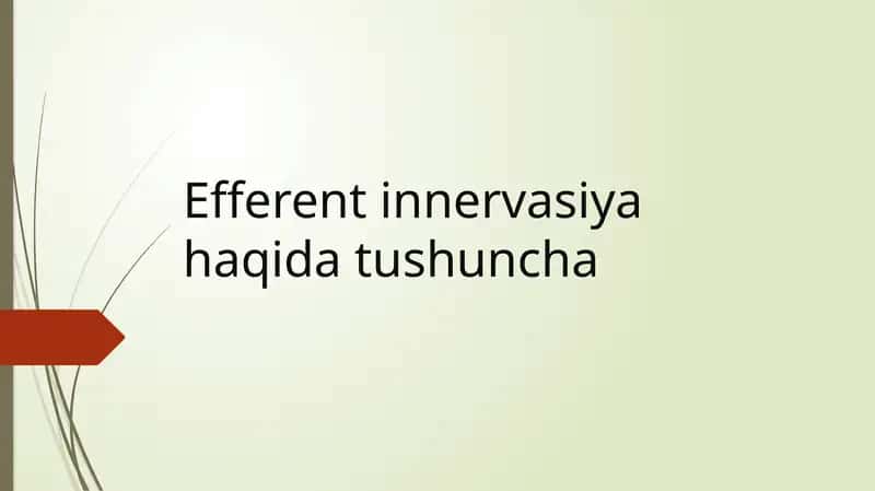 Efferent innervasiya haqida tushuncha 1