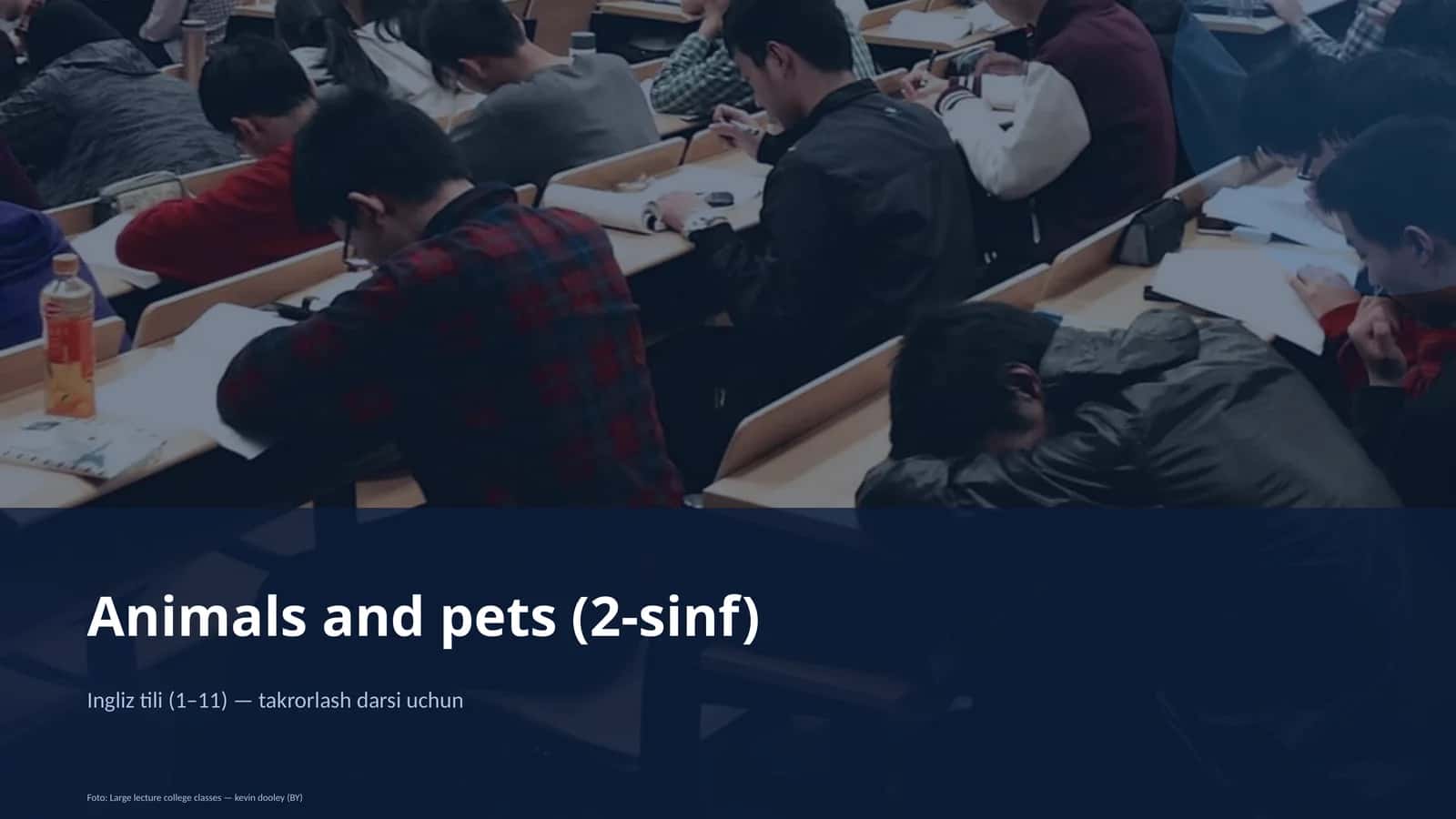 Animals and pets (2-sinf) 1