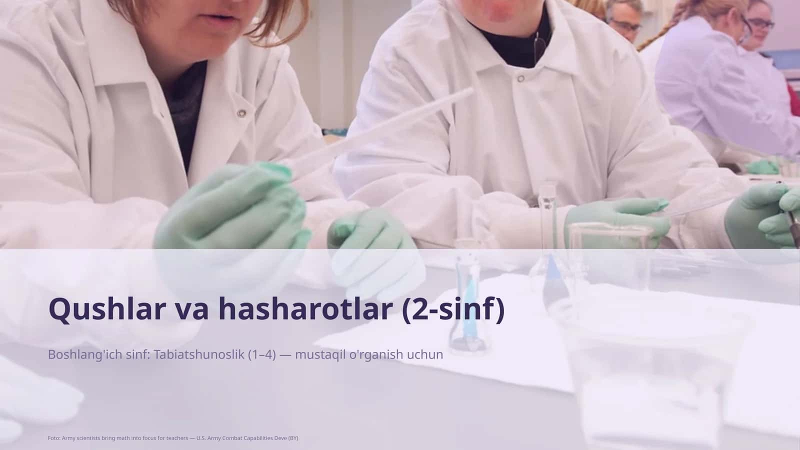 Qushlar va hasharotlar (2-sinf) 1