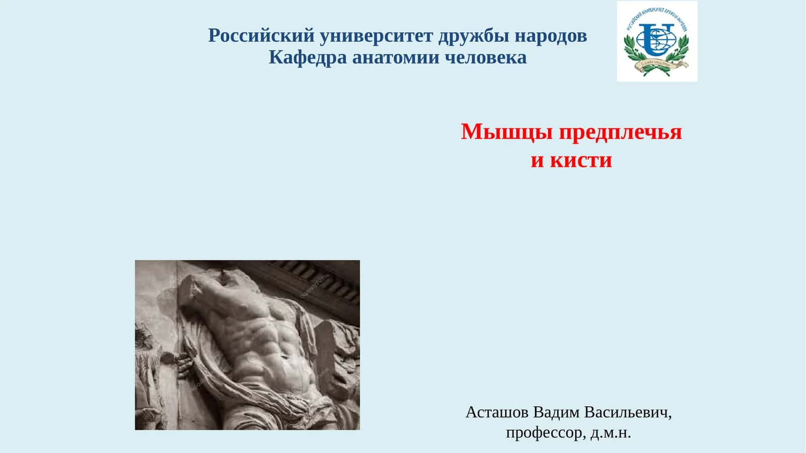 Мышцы предплечья 1