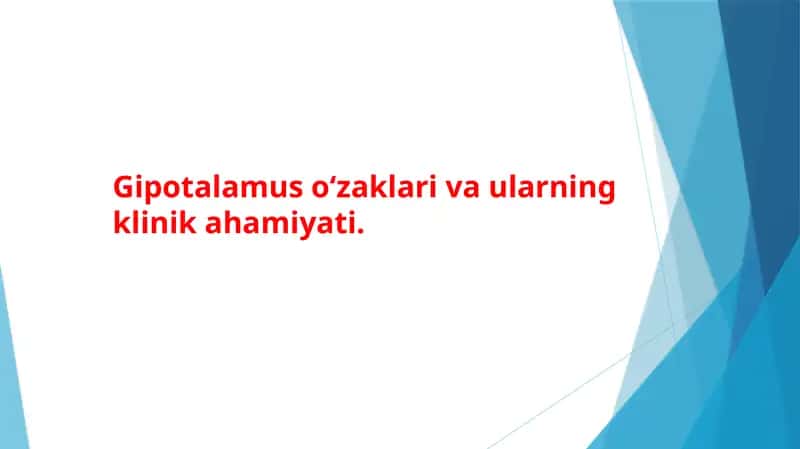 Gipotalamus 1