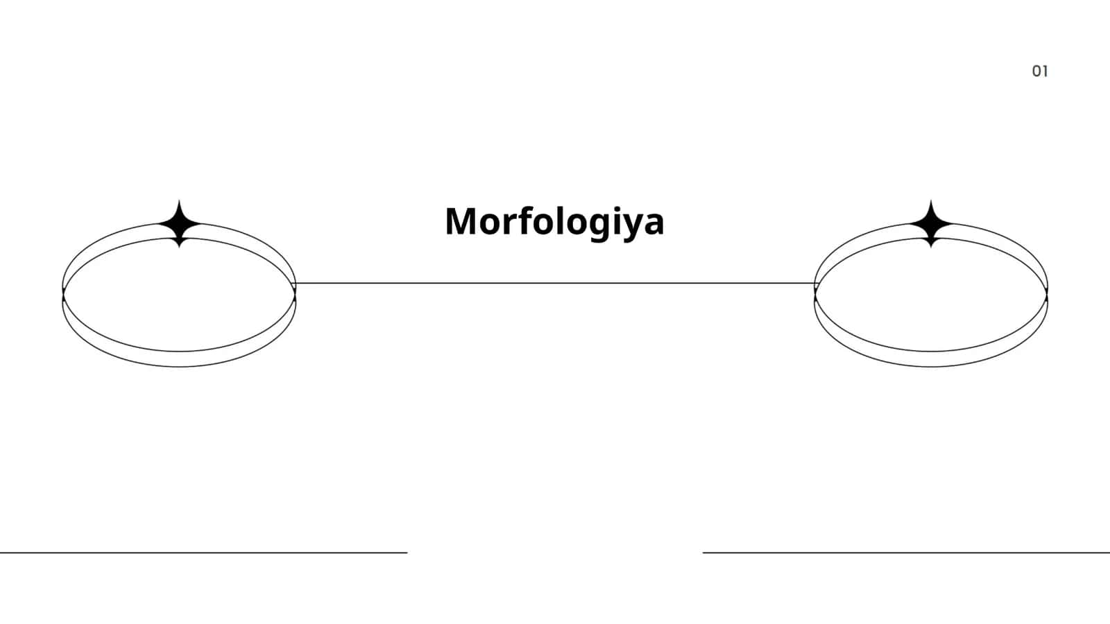 Morfologiya 1