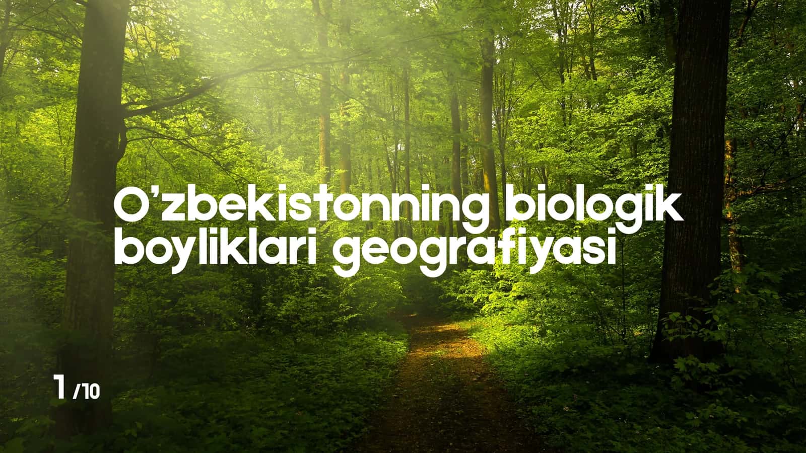 O’zbekistonning biologik boyliklari geografiyasi 1