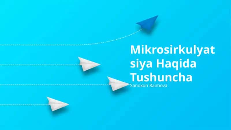 Mikrosirkulyatsiya Haqida Tushuncha 1