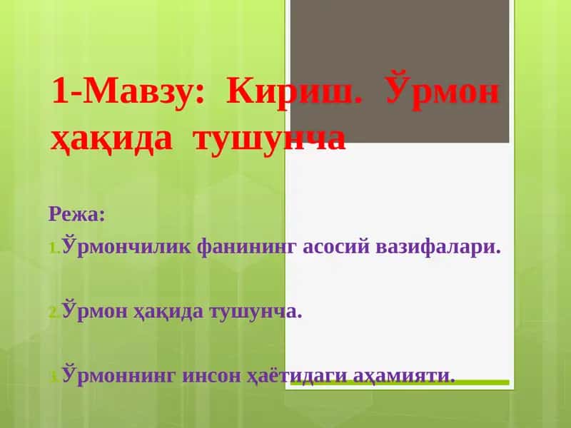 Ўрмон ҳақида тушунча 1
