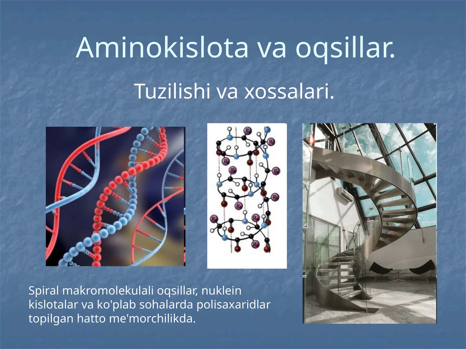 Aminokislotalar 1