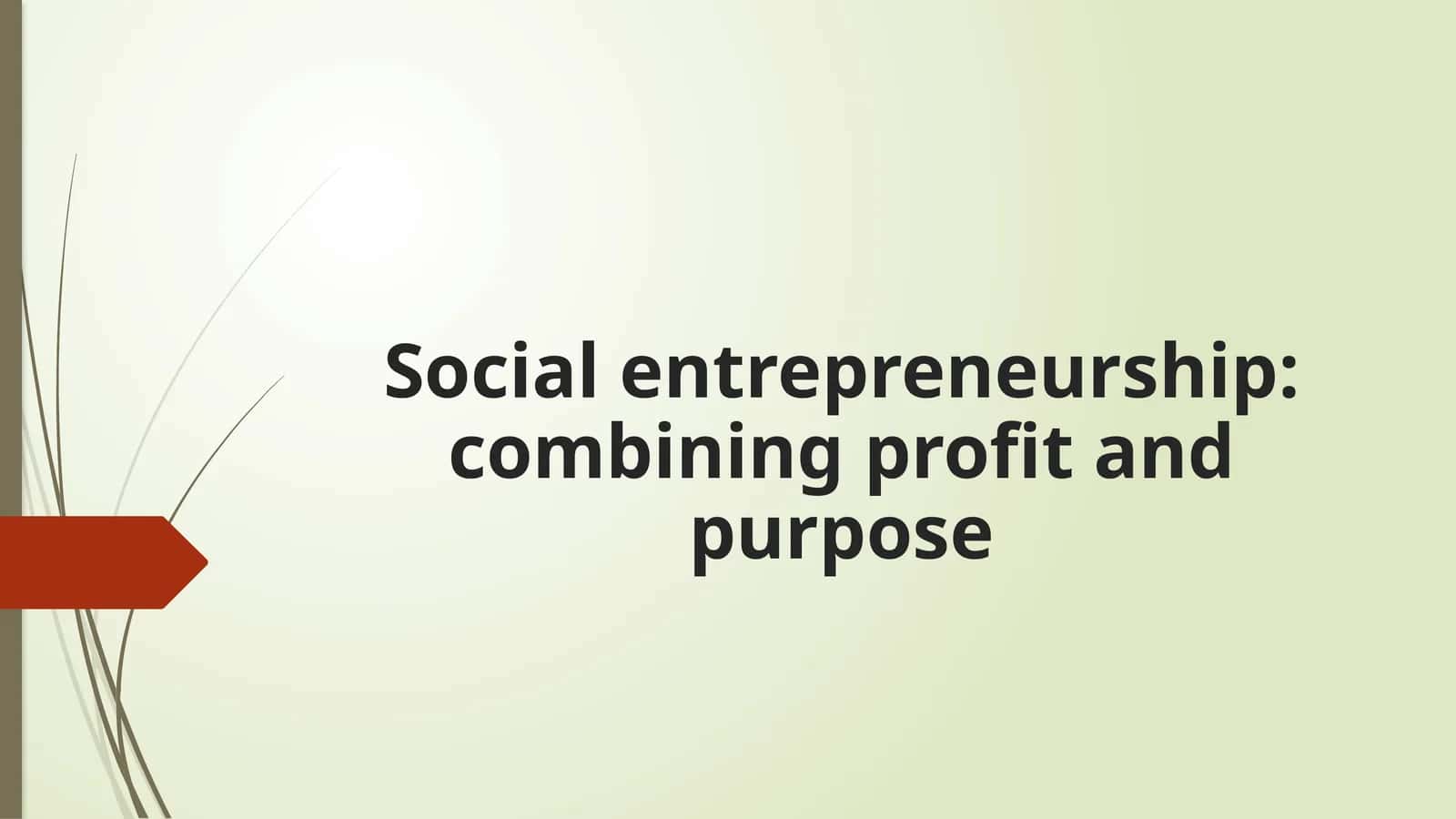 Social entrepreneurship combining profit and purpose 1