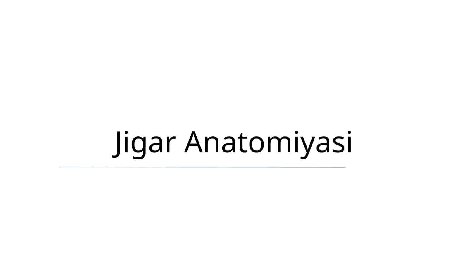 Jigar Anatomiyasi 1