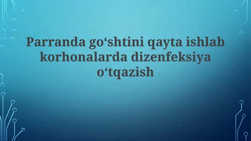 Go'shtni qayta ishlash korxonalarida dezinfeksiya: Nima uchun muhim? 1