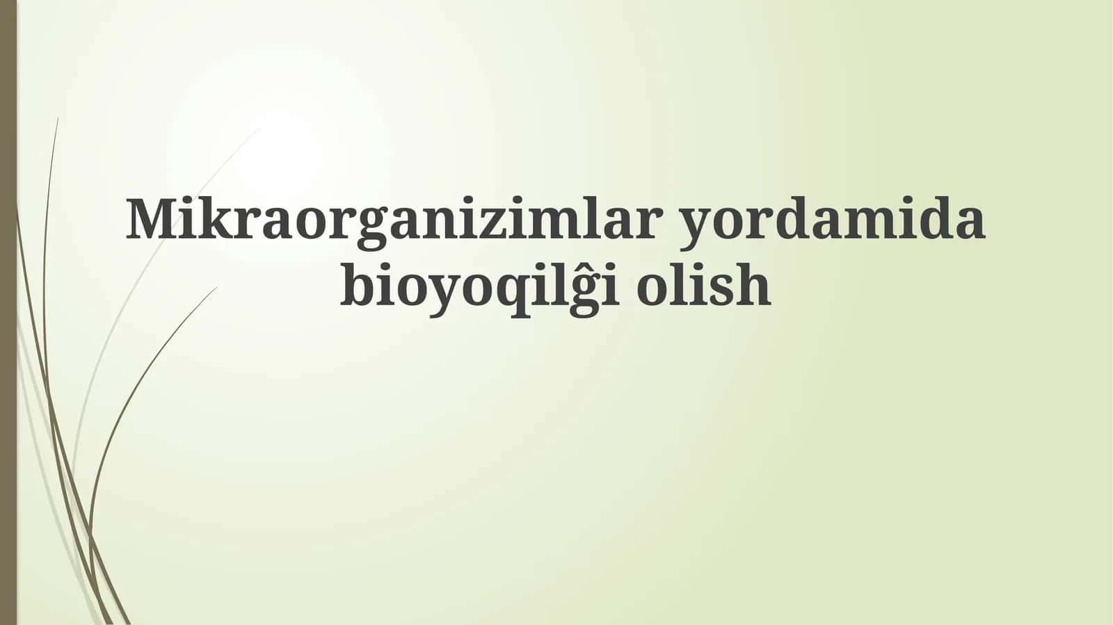 Mikroorganizm yordamida bioyoqilĝi olisĝiolish 1