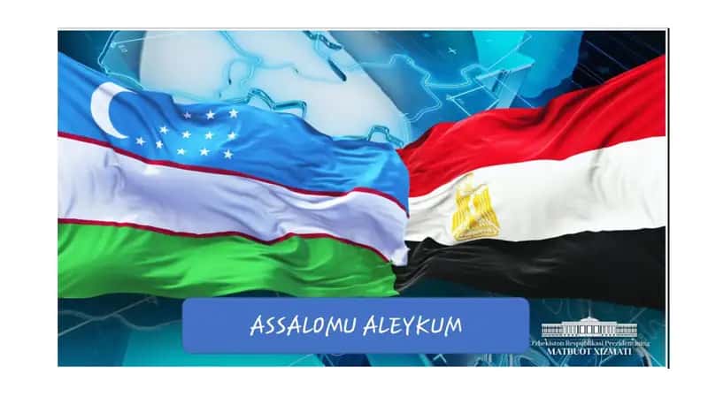 XVI - XX asrlarda Misr 1