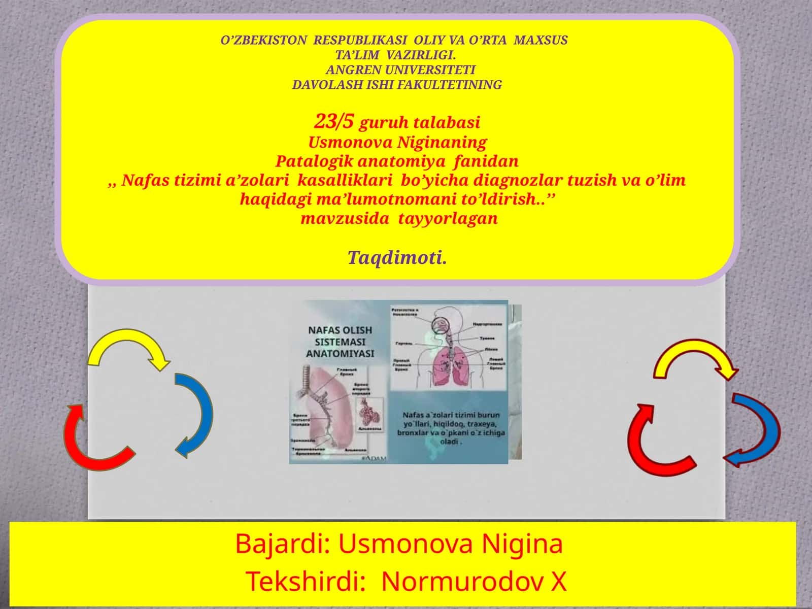 Nafastizimia'zolarikasalliklaribo’yichadiagnozlartuzishvao’limhaqidagima’lumotnoman 1