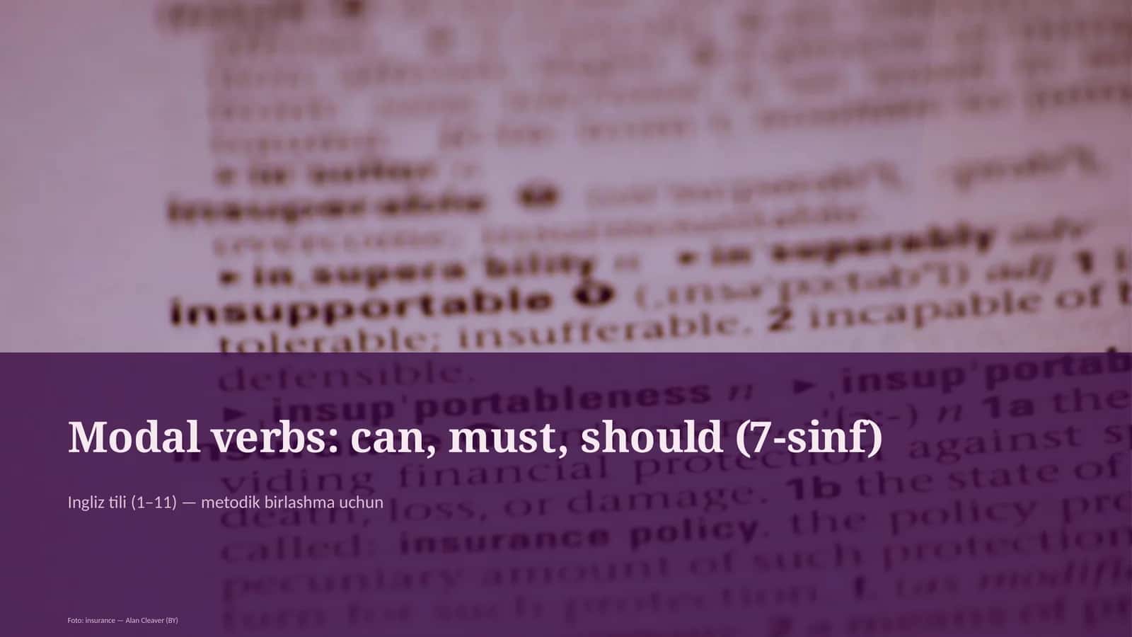Modal verbs: can, must, should (7-sinf) 1