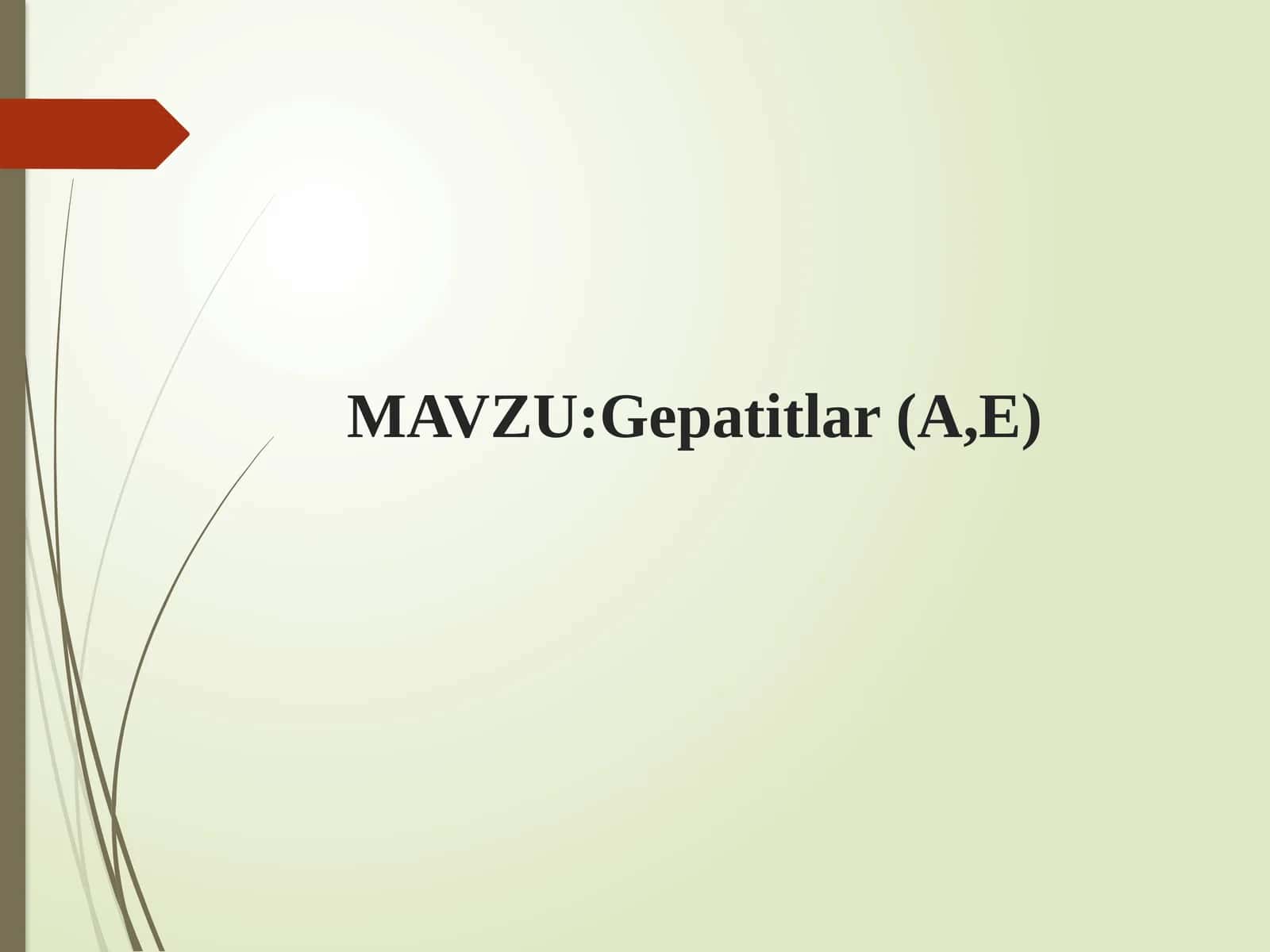 Gepatitlar(A,E) 1