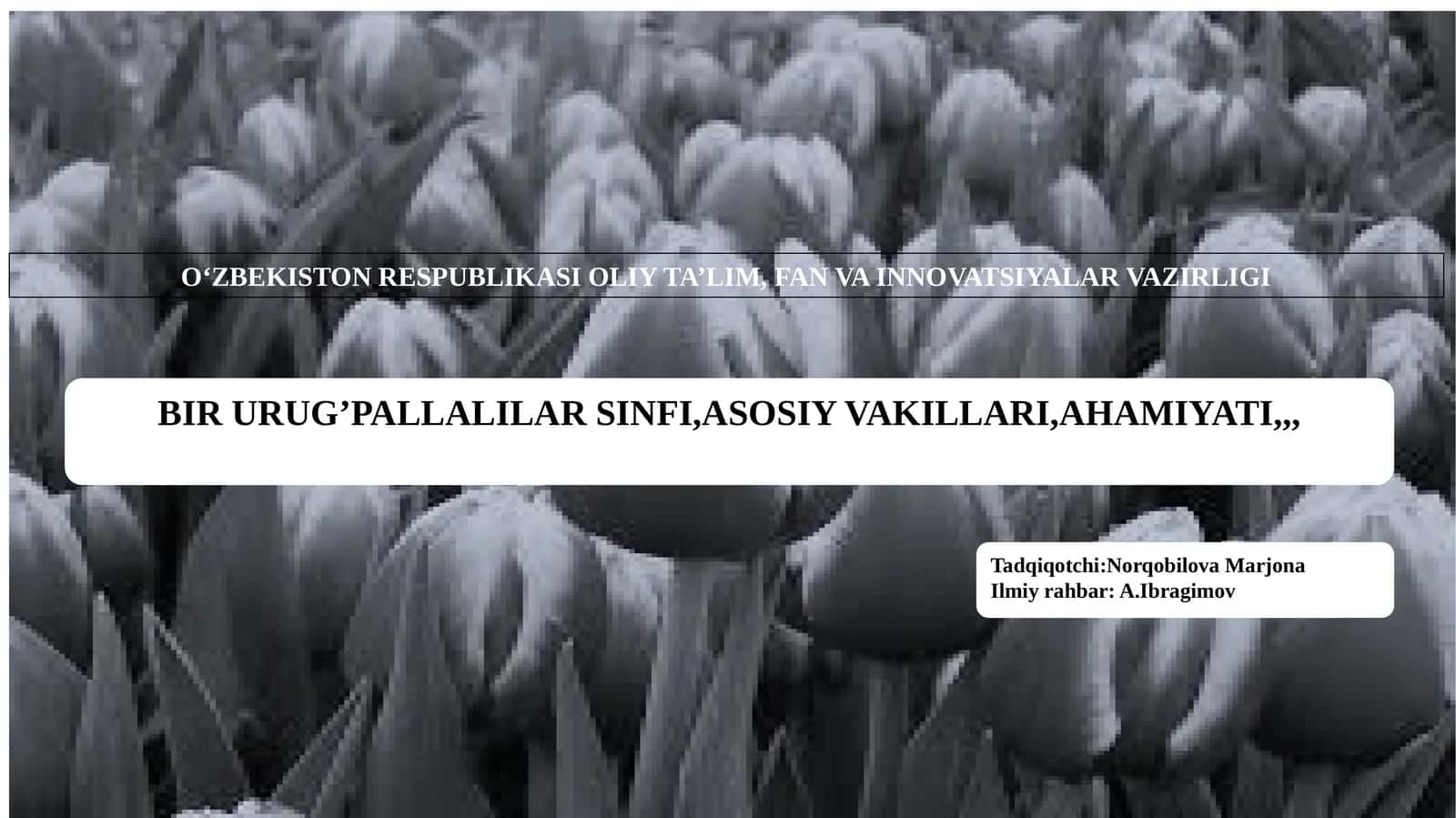 BIR URUG’PALLALILARSINFI,ASOSIYVAKILLARI,AHAMIYATI 1