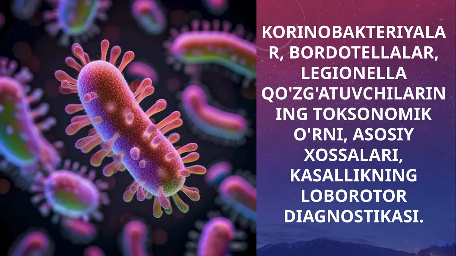 korinobakteriyalar, bordotellalar, legionella qo'zg'atuvchilarining toksonomik o'rni, asosiy xossalari, kasallikning loborotor diagnostikasi. 1