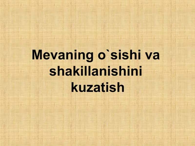 Meva bog'i ustida ishlar 1