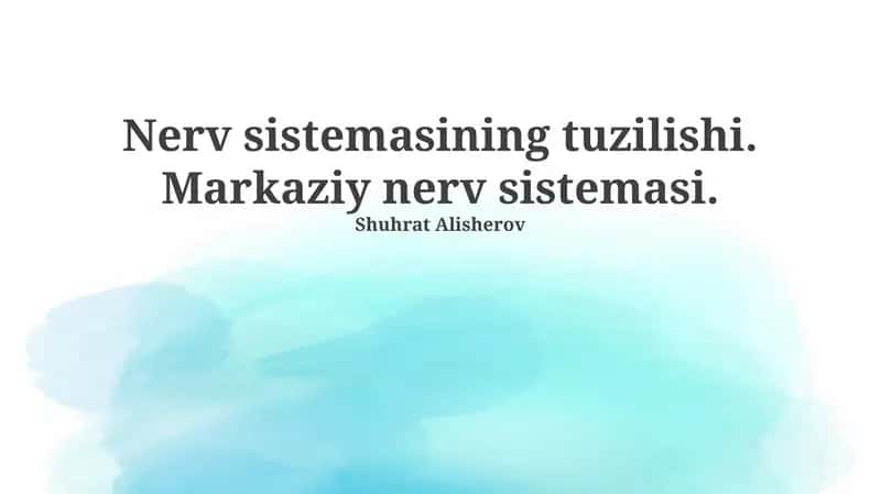 Nerv sistemasining tuzilishi 1