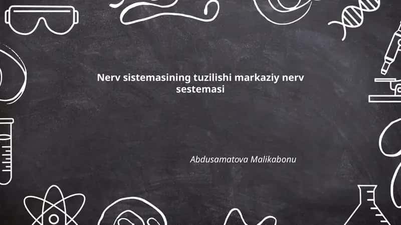 Nerv sistemasining tuzilishi markaziy nerv sestemasi 1