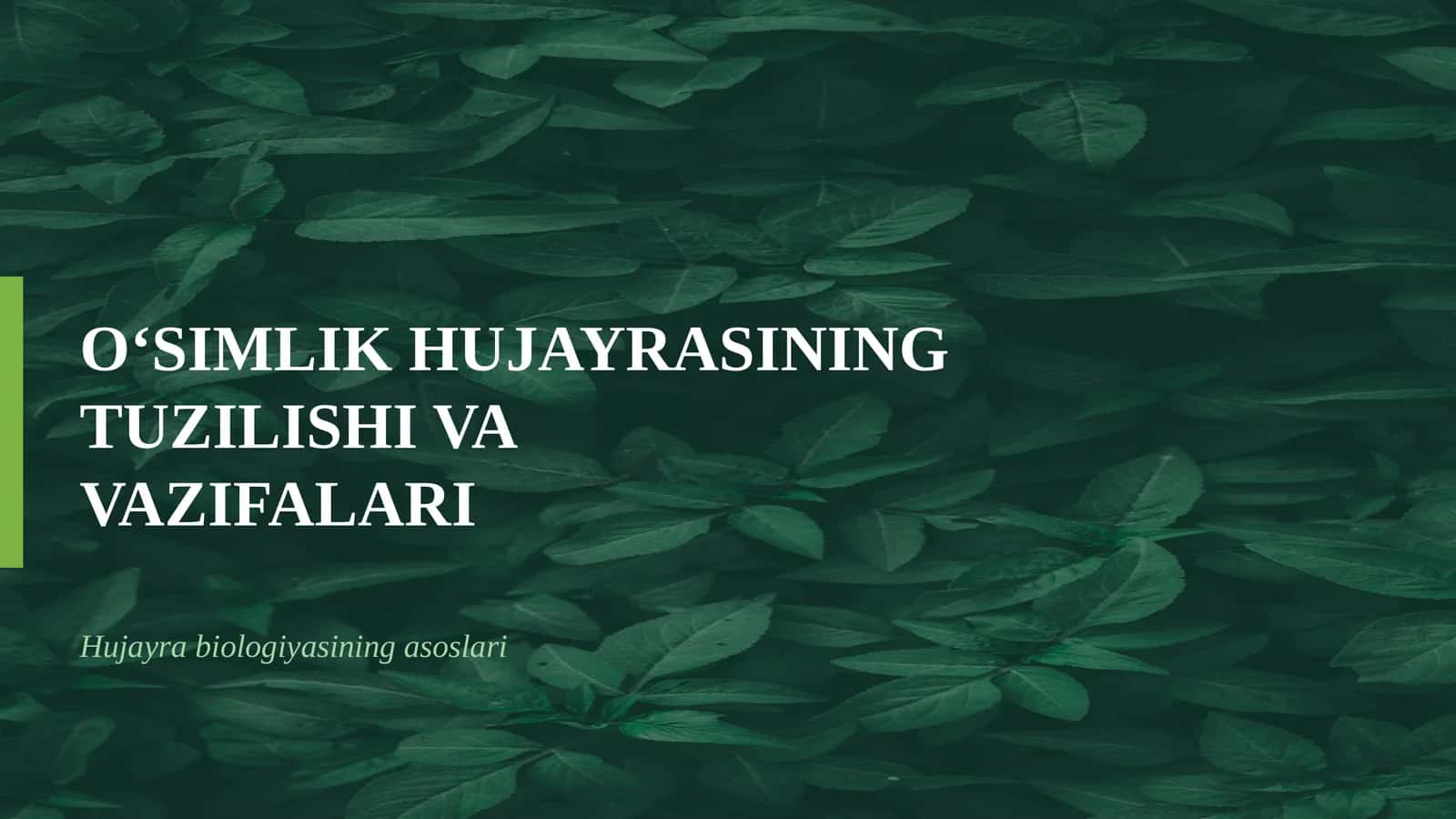 O‘SIMLIK HUJAYRASINING TUZILISHI VA VAZIFALARI 1