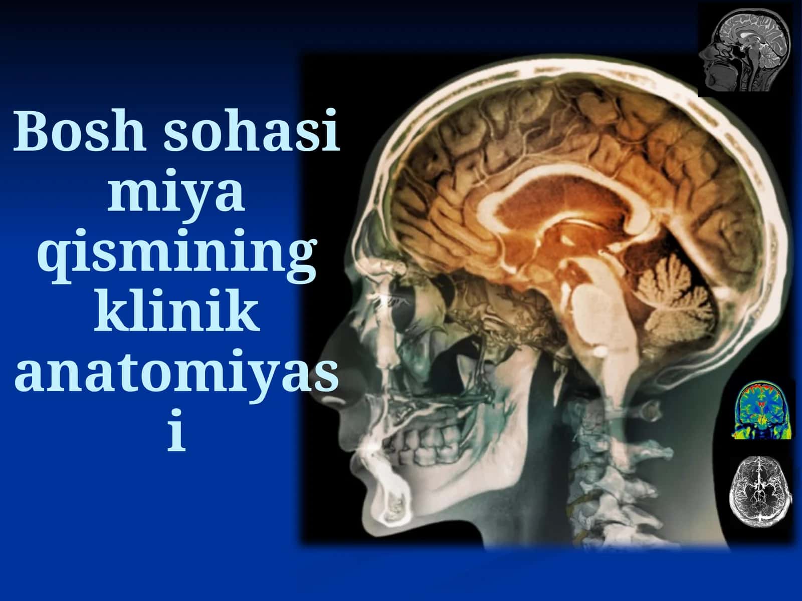 Bosh sohasi miya qismining klinik anatomiyasi 1