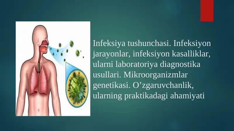 Infeksiya tushunchasi 1