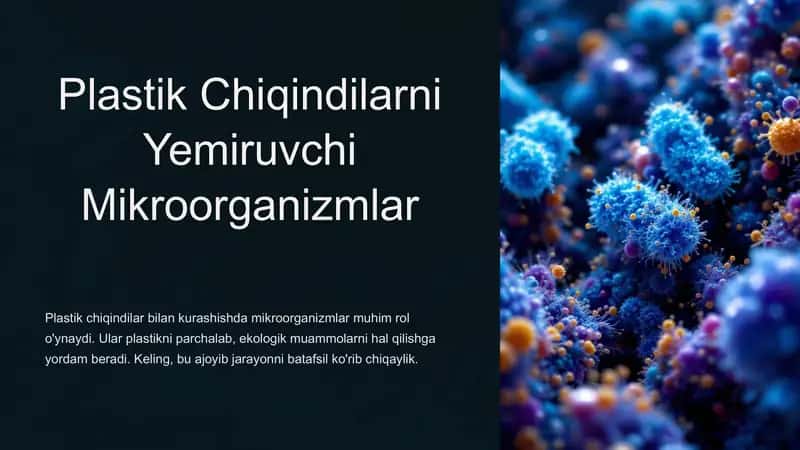 Plastik Chiqindilarni Yemiruvchi Mikroorganizmlar 1
