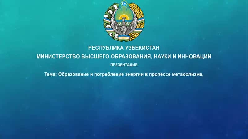 Презентация 1