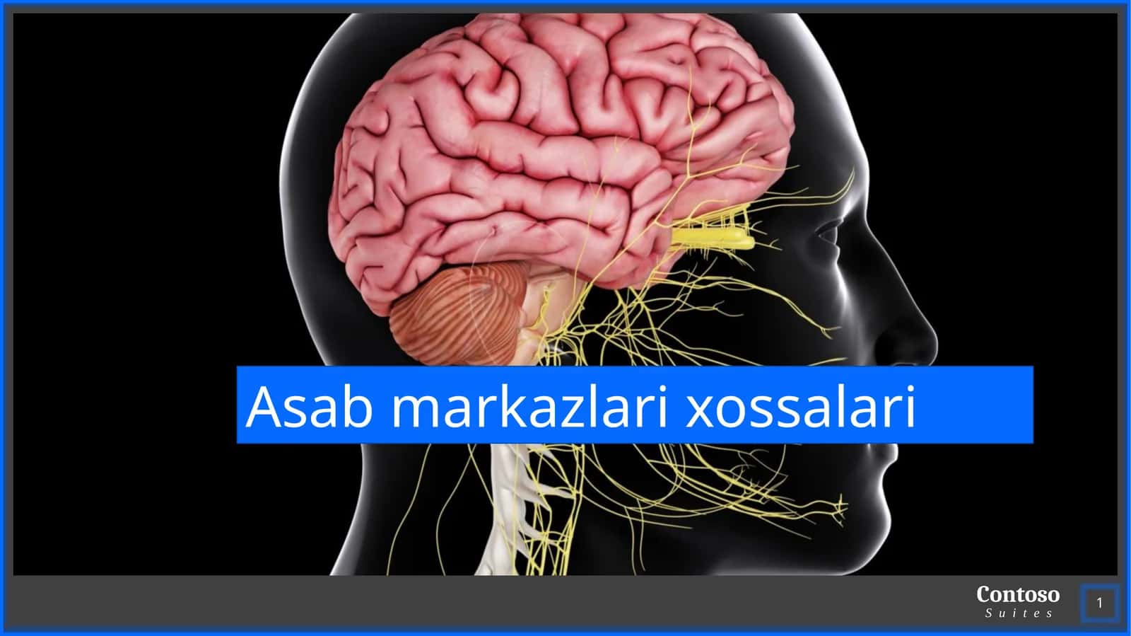 Asab markazlari xossalari 1