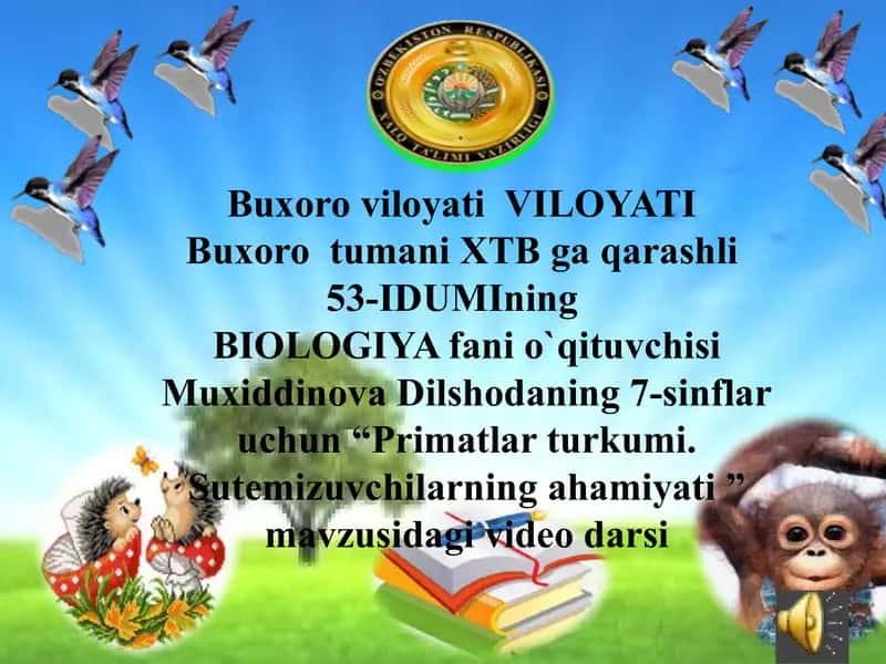 Primatlar turkumi. Sutemizuvchilarning ahamiyati 1
