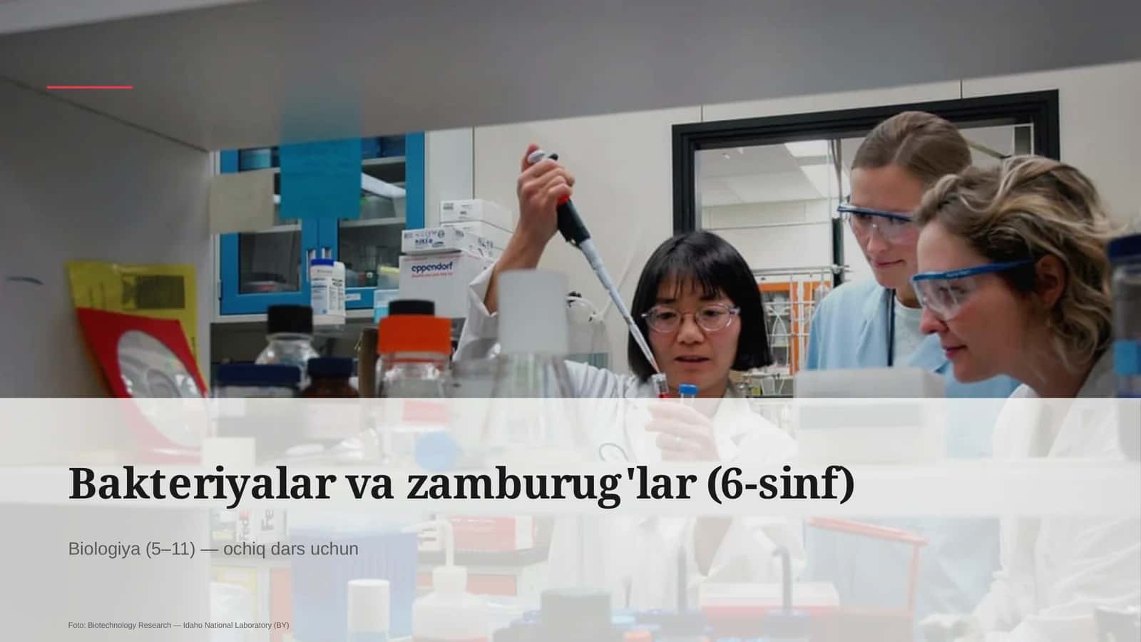 Bakteriyalar va zamburug'lar (6-sinf) 1