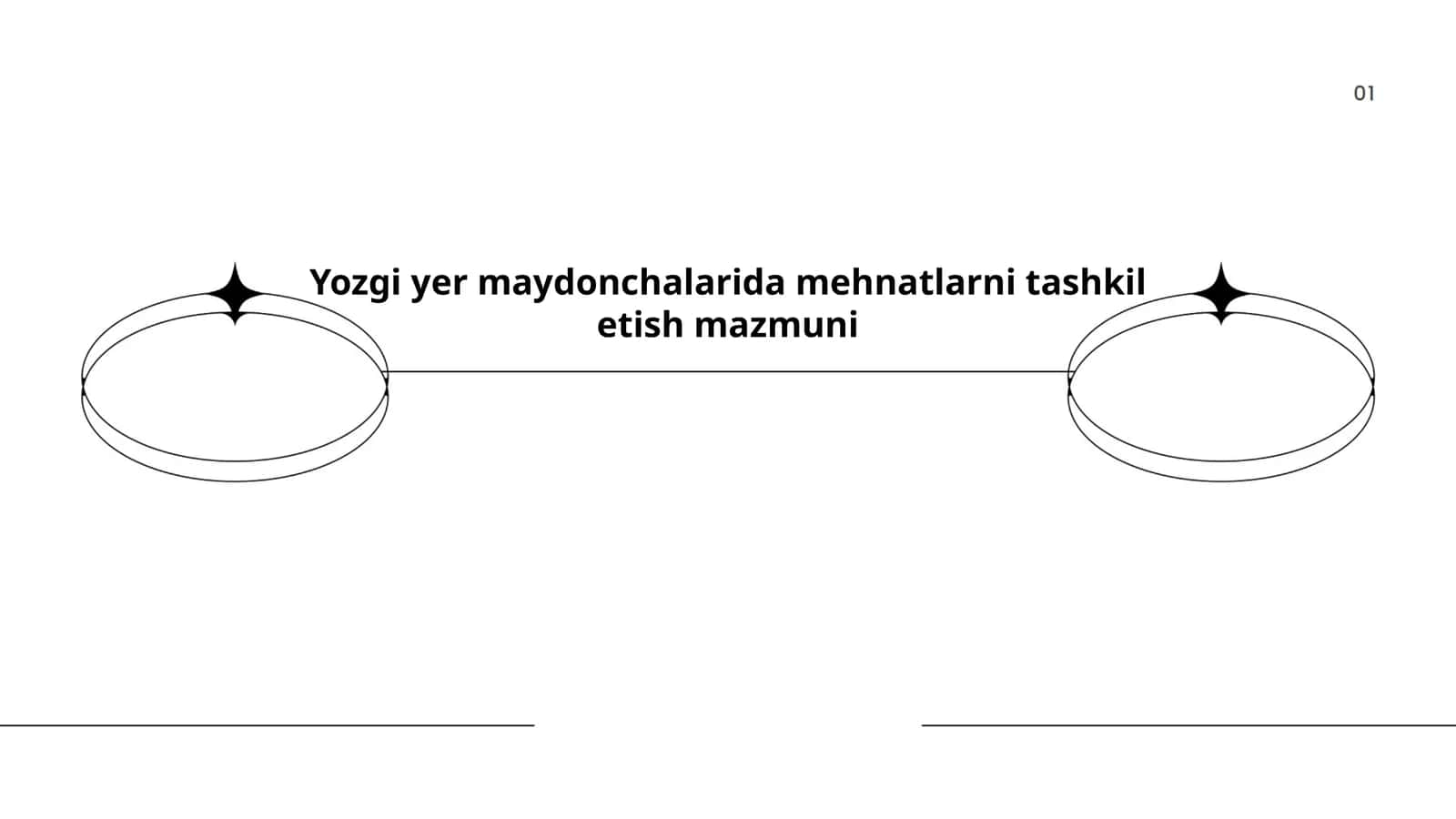 Yozgi yer maydonchalarida mehnatlarni tashkil etish mazmuni 1
